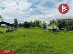 ขายด่วนที่ดินเปล่าถมแล้ว เนื้อที่ 2 ไร่ 1 งาน ต.หัวนาคำ อ.ยางตลาด กาฬสินธุ์-202509241255581758693358457.jpg