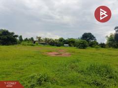 ขายด่วนที่ดินเปล่าถมแล้ว เนื้อที่ 2 ไร่ 1 งาน ต.หัวนาคำ อ.ยางตลาด กาฬสินธุ์-202509241255581758693358989.jpg