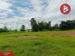 ขายด่วนที่ดินเปล่าถมแล้ว เนื้อที่ 2 ไร่ 1 งาน ต.หัวนาคำ อ.ยางตลาด กาฬสินธุ์-202509241255591758693359506.jpg