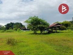 ขายด่วนที่ดินเปล่าถมแล้ว เนื้อที่ 2 ไร่ 1 งาน ต.หัวนาคำ อ.ยางตลาด กาฬสินธุ์-202509241256001758693360029.jpg