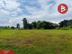 ขายด่วนที่ดินเปล่าถมแล้ว เนื้อที่ 2 ไร่ 1 งาน ต.หัวนาคำ อ.ยางตลาด กาฬสินธุ์-202509241256001758693360564.jpg