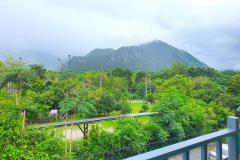 ขาย ทาวน์โฮม 3 ชั้นครึ้ง 3 นอน 4 น้ำ ต.หมูสี อ.ปากช่อง  36 ตรว วิวเขา สวยมาก-202509241341131758696073815.jpg