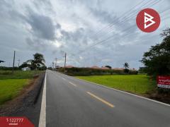 ขายที่ดิน-เนื้อที่-4-ไร่-1-งาน-73.4-ตร.วา-ล