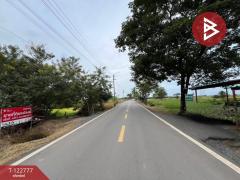 ขายที่ดิน เนื้อที่ 4 ไร่ 1 งาน 73.4 ตร.วา ลาดกระบัง กรุงเทพมหานคร-202509241500091758700809926.jpg