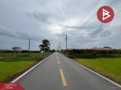 ขายที่ดิน เนื้อที่ 4 ไร่ 1 งาน 73.4 ตร.วา ลาดกระบัง กรุงเทพมหานคร-202509241500111758700811011.jpg