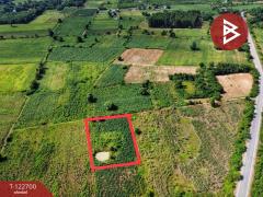 ขายที่ดิน 1 ไร่ 2 งาน 72 ตร.วา ต.ไพรนกยูง อ.หันคา จ.ชัยนาท ราคาถูก ทำเลดี