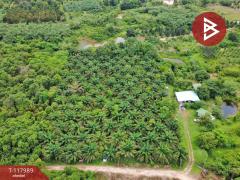 ขายที่ดิน เนื้อที่ 10 ไร่ 2 งาน 5 ตร.วา เนินหอม ปราจีนบุรี