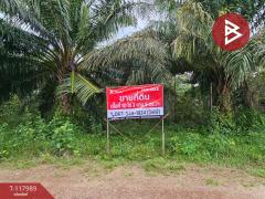 ขายที่ดิน เนื้อที่ 10 ไร่ 2 งาน 5 ตร.วา เนินหอม ปราจีนบุรี-202509241533191758702799114.jpg