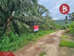 ขายที่ดิน เนื้อที่ 10 ไร่ 2 งาน 5 ตร.วา เนินหอม ปราจีนบุรี-202509241533191758702799674.jpg