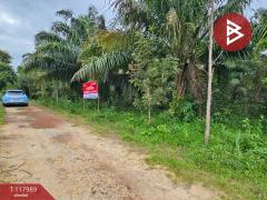 ขายที่ดิน เนื้อที่ 10 ไร่ 2 งาน 5 ตร.วา เนินหอม ปราจีนบุรี-202509241533201758702800221.jpg