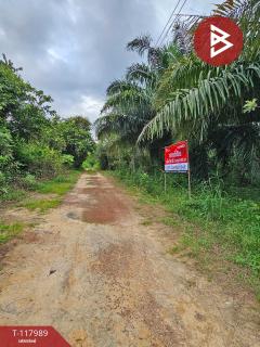 ขายที่ดิน เนื้อที่ 10 ไร่ 2 งาน 5 ตร.วา เนินหอม ปราจีนบุรี-202509241533201758702800768.jpg