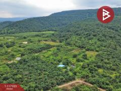 ขายที่ดิน เนื้อที่ 10 ไร่ 2 งาน 5 ตร.วา เนินหอม ปราจีนบุรี-202509241533211758702801304.jpg