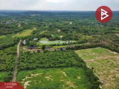 ขายที่ดิน เนื้อที่ 10 ไร่ 2 งาน 5 ตร.วา เนินหอม ปราจีนบุรี-202509241533211758702801854.jpg