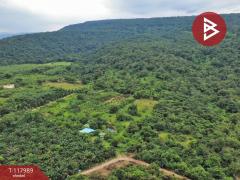 ขายที่ดิน เนื้อที่ 10 ไร่ 2 งาน 5 ตร.วา เนินหอม ปราจีนบุรี-202509241533231758702803530.jpg