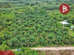 ขายที่ดิน เนื้อที่ 10 ไร่ 2 งาน 5 ตร.วา เนินหอม ปราจีนบุรี-202509241533251758702805160.jpg