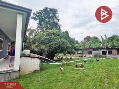 ขายบ้านเดี่ยวพร้อมที่ดิน เนื้อที่ 2 ไร่ 3 งาน 14 ตร.วา หนองไฮ อุดรธานี-202509241536091758702969665.jpg