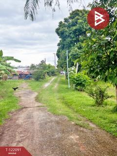 ขายบ้านเดี่ยวพร้อมที่ดิน เนื้อที่ 2 ไร่ 3 งาน 14 ตร.วา หนองไฮ อุดรธานี-202509241536141758702974427.jpg