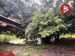 ขายบ้านเดี่ยวพร้อมที่ดิน เนื้อที่ 2 ไร่ 3 งาน 14 ตร.วา หนองไฮ อุดรธานี-202509241536141758702974953.jpg