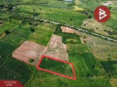 ขายที่ดิน 2 ไร่ 59 ตร.วา อ.ไพรนกยูง อ.หันคา จ.ชัยนาท ราคาถูก