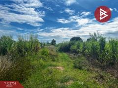 ขายที่ดิน 2 ไร่ 59 ตร.วา อ.ไพรนกยูง อ.หันคา จ.ชัยนาท ราคาถูก-202509241539401758703180302.jpg