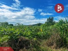 ขายที่ดิน 2 ไร่ 59 ตร.วา อ.ไพรนกยูง อ.หันคา จ.ชัยนาท ราคาถูก-202509241539401758703180839.jpg