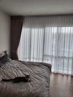 ให้เช่า ทาวน์โฮม M1373 บ้านกลางเมือง สุขุมวิท-อ่อนนุช 148 ตรม 19 ตรว-202509241542481758703368281.jpg