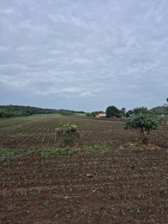 ขายที่ดิน 24ไร่ 1งาน 86ตร.ว.-202509241552031758703923674.jpg