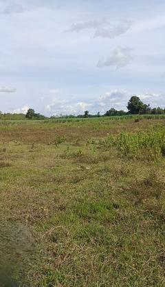 ขายที่ดินสวย ทำเลดี ใกล้โรงน้ำแข็งกิมชุน หนองคาย