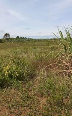 ขายที่ดินสวย ทำเลดี ใกล้โรงน้ำแข็งกิมชุน หนองคาย-202509241628271758706107012.jpg