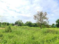 ที่ดินติดถนน ถมแล้ว ต.วัดยม อ.บางบาล จ.พระนครศรีอยุธยา-202509241629301758706170560.jpg