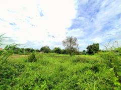 ที่ดินติดถนน ถมแล้ว ต.วัดยม อ.บางบาล จ.พระนครศรีอยุธยา-202509241629321758706172946.jpg