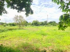 ที่ดินติดถนน ถมแล้ว ต.วัดยม อ.บางบาล จ.พระนครศรีอยุธยา-202509241629341758706174839.jpg