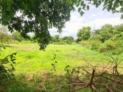 ที่ดินติดถนน ถมแล้ว ต.วัดยม อ.บางบาล จ.พระนครศรีอยุธยา-202509241629381758706178214.jpg