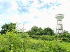 ที่ดินติดถนน ถมแล้ว ต.วัดยม อ.บางบาล จ.พระนครศรีอยุธยา-202509241629401758706180975.jpg