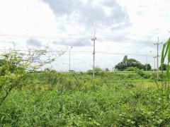 ที่ดินติดถนน ถมแล้ว ต.วัดยม อ.บางบาล จ.พระนครศรีอยุธยา-202509241629461758706186443.jpg