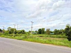 ที่ดินติดถนน ถมแล้ว ต.วัดยม อ.บางบาล จ.พระนครศรีอยุธยา-202509241629521758706192283.jpg