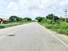 ที่ดินติดถนน ถมแล้ว ต.วัดยม อ.บางบาล จ.พระนครศรีอยุธยา-202509241629581758706198539.jpg