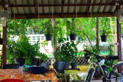 บ้านสวนบางกระเจ้า พระประแดง บนพื้นที่ 469 ตรว. บรรยากาศธรรมชาติ บนพื้นที่สีเขียวอากาศสดชื่น ใกล้ตลาดน้ำบางน้ำผึ้ง-202509241725561758709556281.jpg