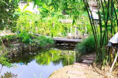 บ้านสวนบางกระเจ้า พระประแดง บนพื้นที่ 469 ตรว. บรรยากาศธรรมชาติ บนพื้นที่สีเขียวอากาศสดชื่น ใกล้ตลาดน้ำบางน้ำผึ้ง-202509241726031758709563496.jpg