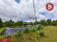 ขายที่ดินพร้อมสวนผลไม้ เนื้อที่ 2 ไร่ 1 งาน ท่าใหม่ จันทบุรี-202509241738171758710297490.jpg