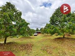 ขายที่ดินพร้อมสวนผลไม้ เนื้อที่ 2 ไร่ 1 งาน ท่าใหม่ จันทบุรี-202509241738191758710299262.jpg