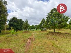 ขายที่ดินพร้อมสวนผลไม้ เนื้อที่ 2 ไร่ 1 งาน ท่าใหม่ จันทบุรี-202509241738191758710299800.jpg