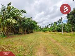 ขายที่ดินพร้อมสวนผลไม้ เนื้อที่ 2 ไร่ 1 งาน ท่าใหม่ จันทบุรี-202509241738201758710300353.jpg