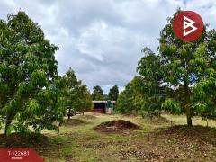 ขายที่ดินพร้อมสวนผลไม้ เนื้อที่ 2 ไร่ 1 งาน ท่าใหม่ จันทบุรี-202509241738211758710301533.jpg