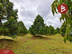 ขายที่ดินพร้อมสวนผลไม้ เนื้อที่ 2 ไร่ 1 งาน ท่าใหม่ จันทบุรี-202509241738221758710302619.jpg