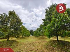 ขายที่ดินพร้อมสวนผลไม้ เนื้อที่ 2 ไร่ 1 งาน ท่าใหม่ จันทบุรี-202509241738231758710303148.jpg