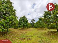 ขายที่ดินพร้อมสวนผลไม้ เนื้อที่ 2 ไร่ 1 งาน ท่าใหม่ จันทบุรี-202509241738241758710304221.jpg