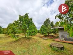 ขายที่ดินพร้อมสวนผลไม้ เนื้อที่ 2 ไร่ 1 งาน ท่าใหม่ จันทบุรี-202509241738241758710304788.jpg