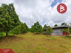 ขายที่ดินพร้อมสวนผลไม้ เนื้อที่ 2 ไร่ 1 งาน ท่าใหม่ จันทบุรี-202509241738251758710305324.jpg