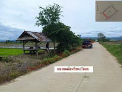 ขายที่ดินสวย วิวดอยผ้าห่มปก อ.แม่อาย จ.เชียงใหม่ เหมาะทำรีสอร์ท ฟาร์มสเตย์ เกษตรอินทรีย์ ราคาเพียง 5 ล้านบาท